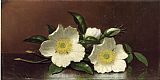 Famous Blossoms Paintings - Two Cherokee Rose Blossoms on a Table